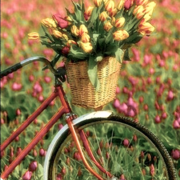 Meet your Posher, Dee - Picture 1 of 1